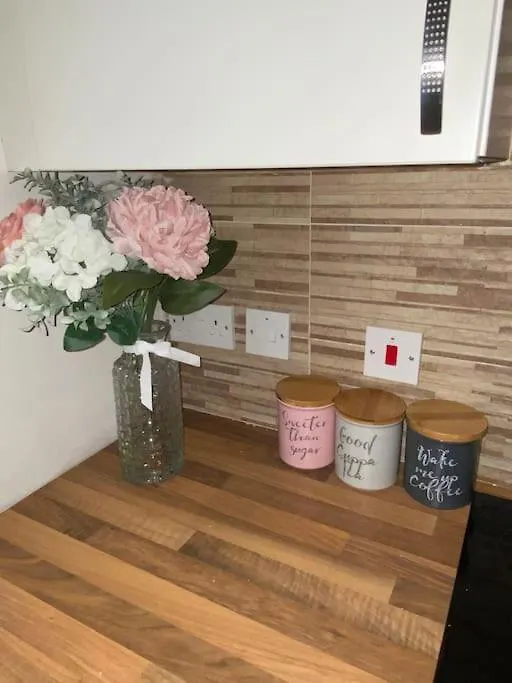 The Cozy Homestay Belfast